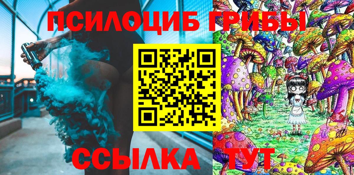 Псилоцибиновые грибы мицелий Сосновый Бор